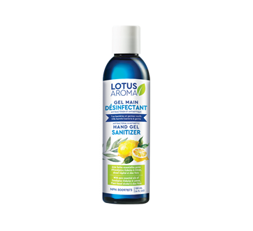 Gel main désinfectant, 120 ml