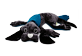 Vignette du produit fdmt - Manimo chien, 1 unité