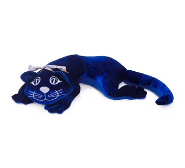 chat, 1 unité