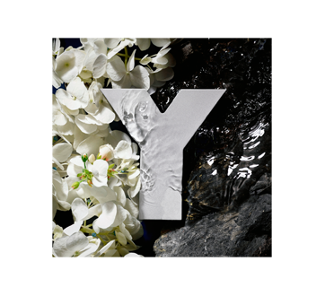 Image 8 du produit Yves Saint Laurent - Y eau de toilette, 60 ml
