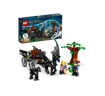 Harry Potter La calèche et les Sombrals de Poudlard