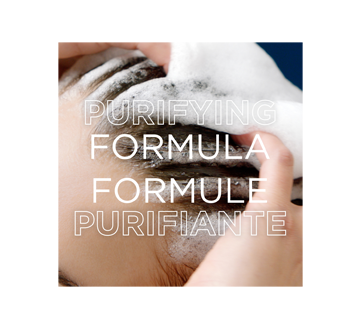 Image 7 du produit Garnier - Whole Blends Magnetic Charcoal revitalisant purifiant, 356 ml