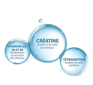 Image 4 du produit Ducray - Creastim Reactiv lotion, 60 ml