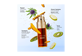 Vignette 5 du produit Clarins - Double serum Light Texture, 50 ml