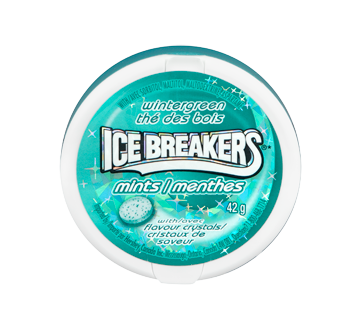 Image du produit Hershey's - Ice Breakers menthes thé des bois, 42 g