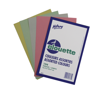 Bloc-notes alouette 104 feuilles, 1 unité
