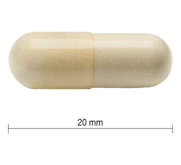 Image 2 du produit Jamieson - Glucosamine 500 mg, 360 unités