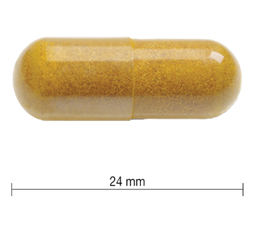 Image 2 du produit Jamieson - Curcumine curcuma, 60 unités