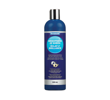 Image du produit Personnelle - Éclat et Brillance shampooing revitalisant pour cheveux secs et ternes, 500 ml