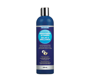 Éclat et Brillance shampooing revitalisant pour cheveux secs et ternes, 500 ml