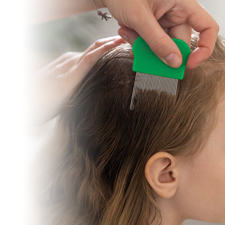 Head lice at school & daycare: how to prevent and detect them