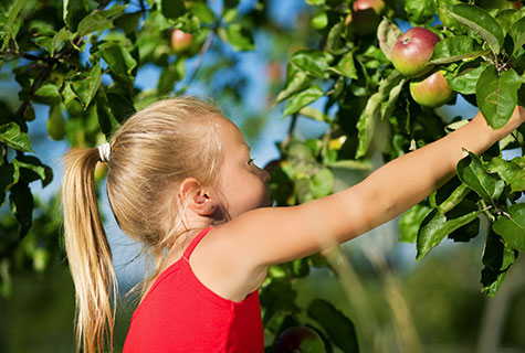 Don’t miss this chance to take beautiful photos of your loved ones in the great outdoors