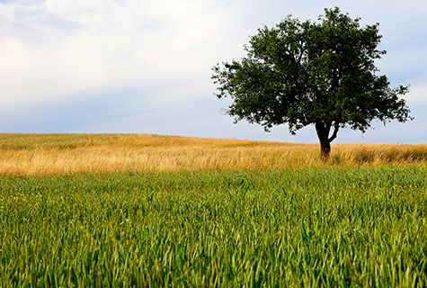 Must-take photos - The countryside