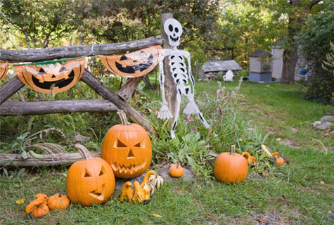 Pour restituer l’ambiance glaçante d’Halloween