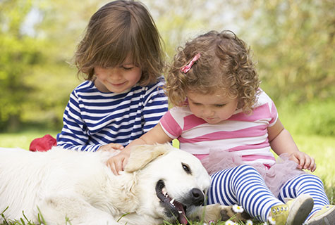 LES PETITS ANIMAUX