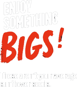 Bigs