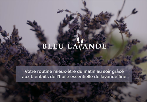 Huile Essentielle de Lavande Diamant Bleu® - La Ferme Aux Lavandes