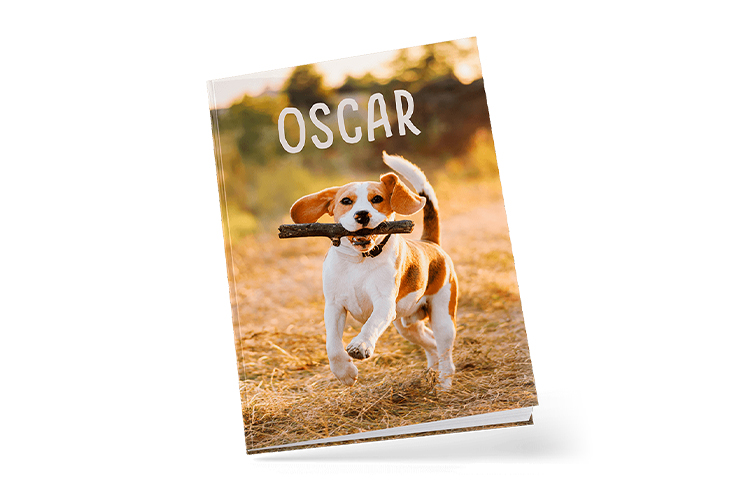 Put all your memories under the same cover