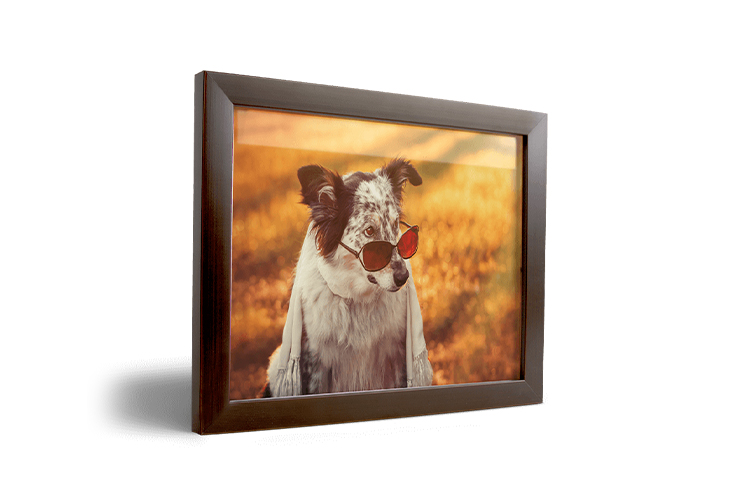 Habillez vos murs à votre image