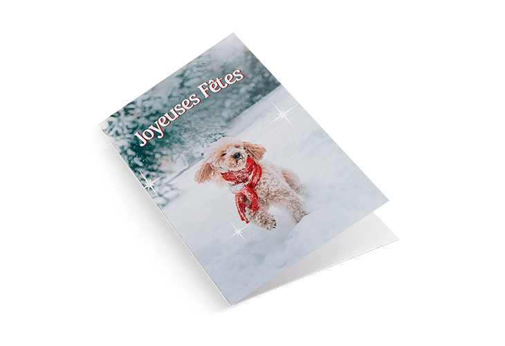 Offrez des souhaits hauts en couleur!