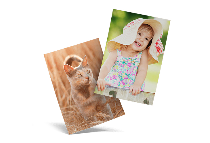 It's time to print your photos!