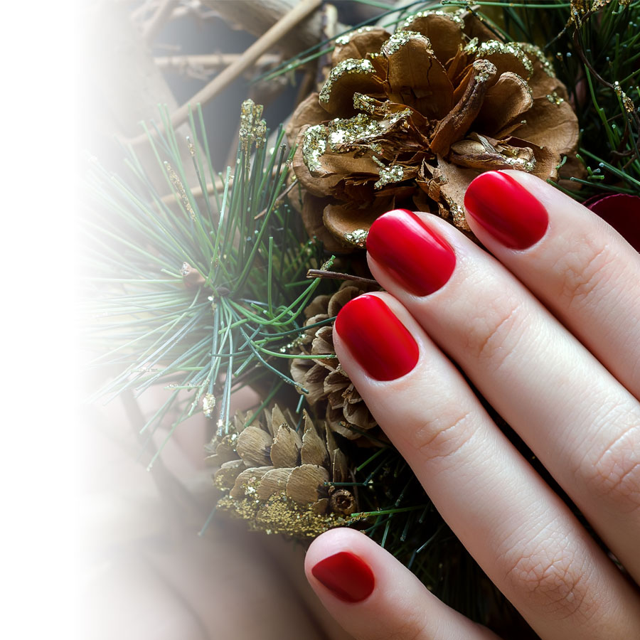 Fabulous nails for the Holidays