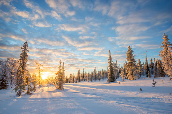 5 conseils pour des photos de neige réussies