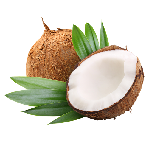 Properties and benefits of coconut oil: the new must-have product