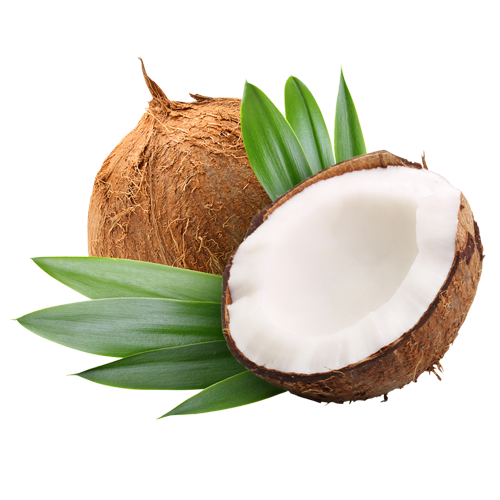 Propriétés et bienfaits de l'huile de noix de coco : le nouvel