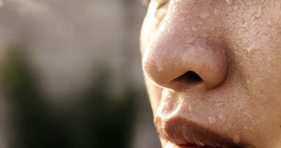 Définissez les lèvres et les sourcils 