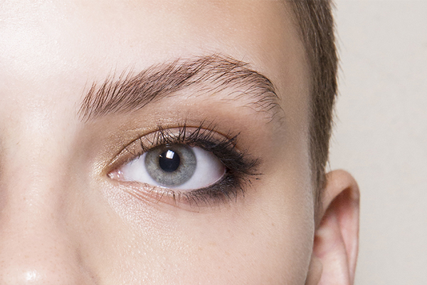 Sourcils en folie