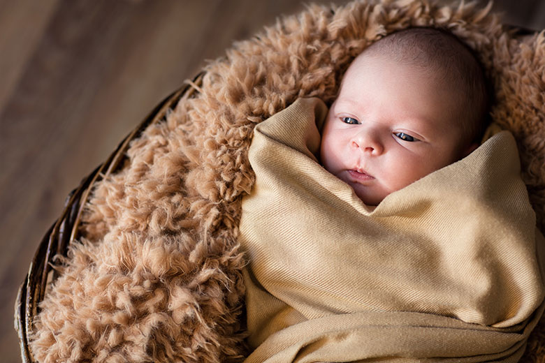 La première année de bébé dans un livre photo