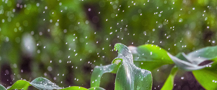 Les gouttes d’eau