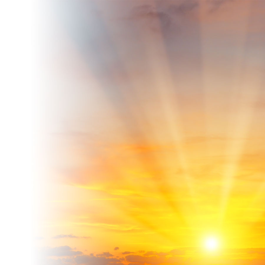 L’ABC de la vitamine&nbsp;D