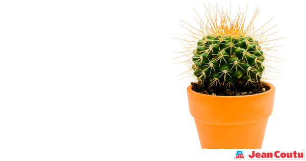 Comment Prevenir Et Soigner Les Hemorroides Durant La Grossesse Jean Coutu