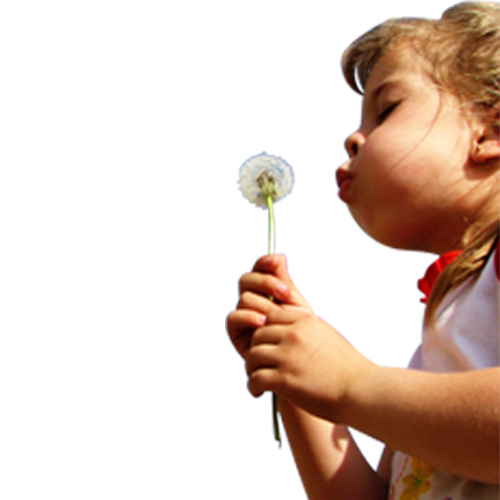 Pas de vacances pour les allergies saisonnières