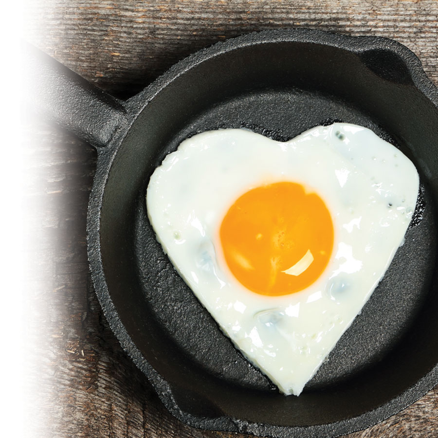 Cholesterol: friend or foe?