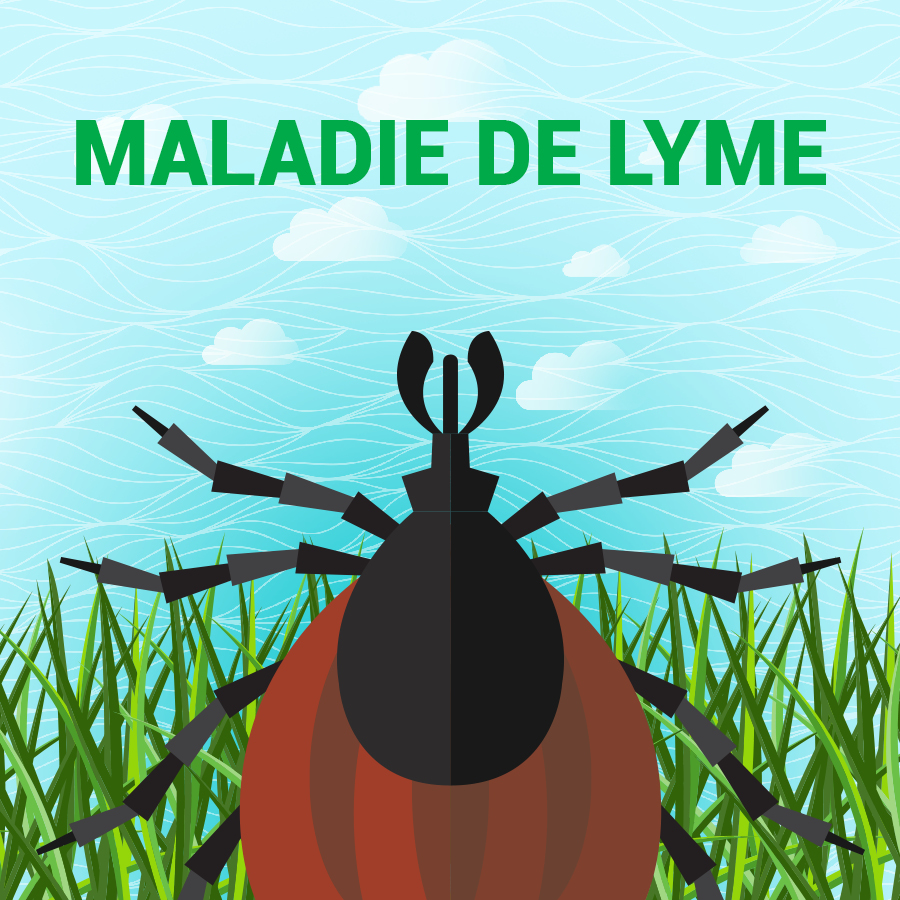 Lyme Disease