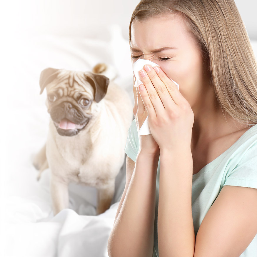 Knowing how to distinguish allergens to better manage allergy symptoms