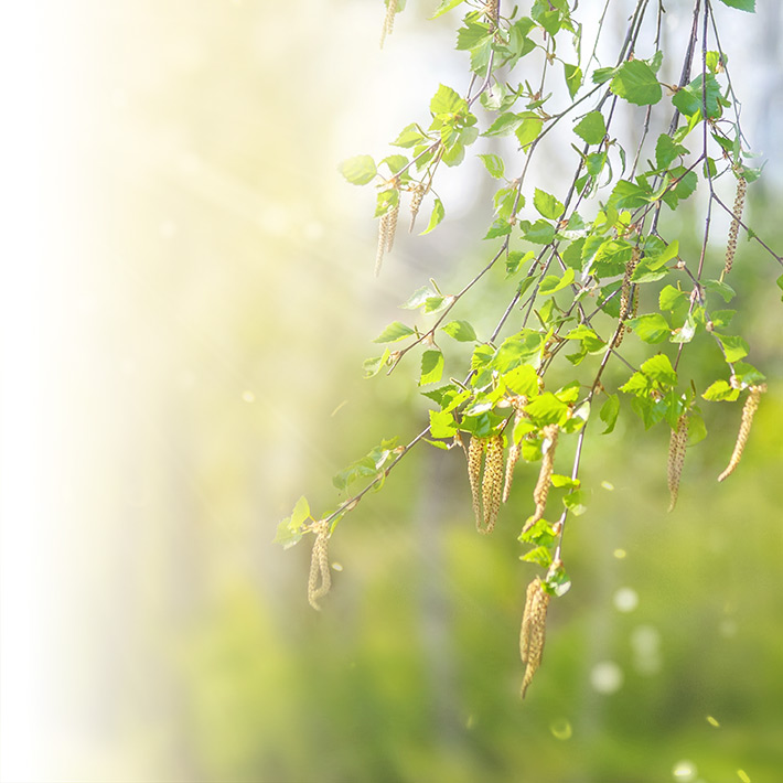 Mieux vivre avec les allergies saisonnières