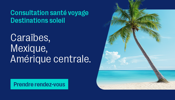 consultation voyage sud