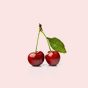 Cerise