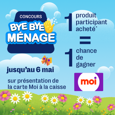 Ménage du printemps