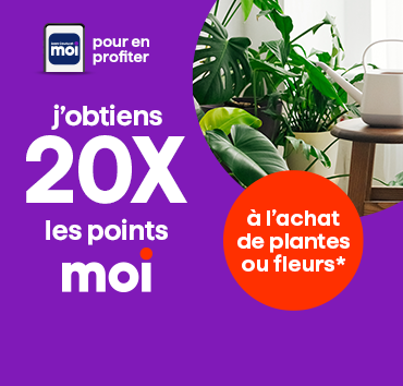 20x les points